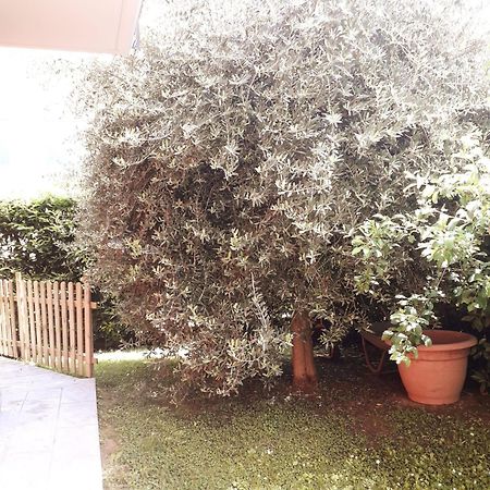 Bed and Breakfast Beb Ulivo Santa Giuletta Exterior foto