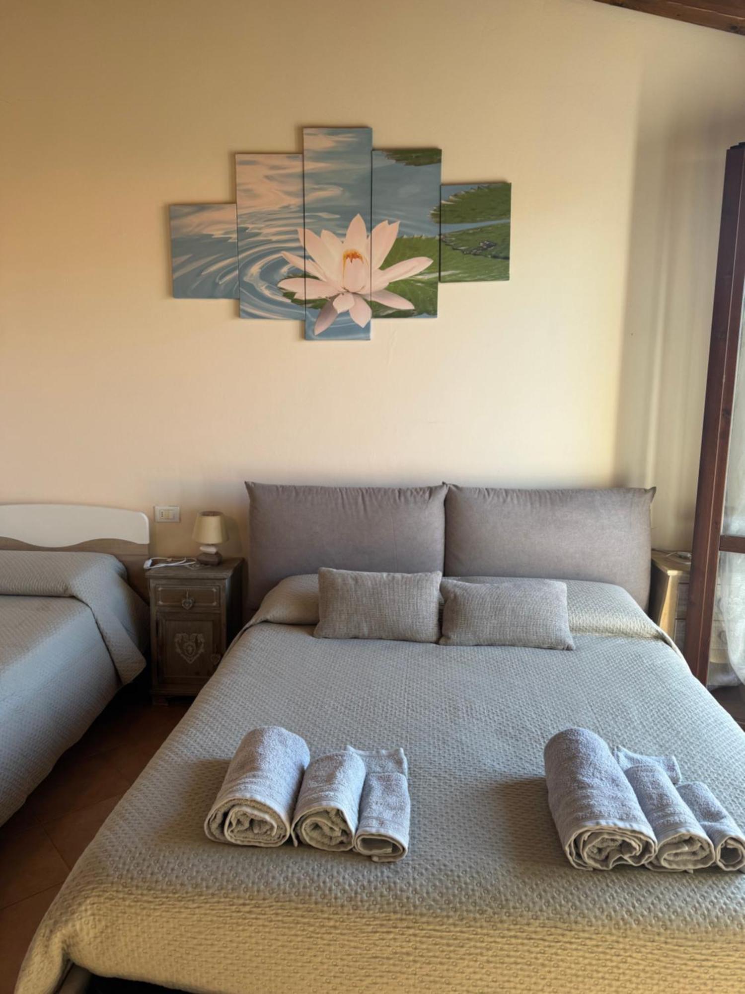 Bed and Breakfast Beb Ulivo Santa Giuletta Exterior foto